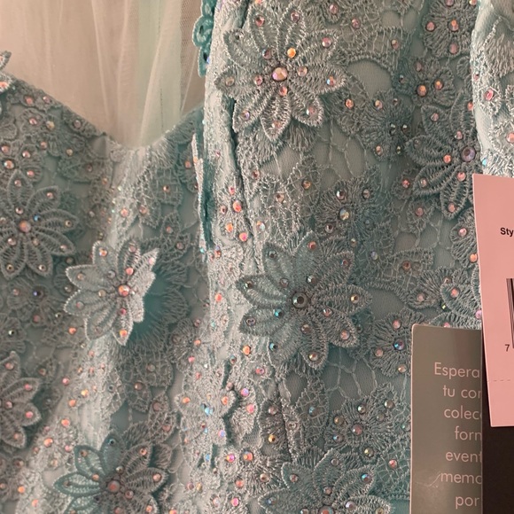 Mint Green Size 11 Lace Rhinestones Gown Mesh - Picture 2 of 2